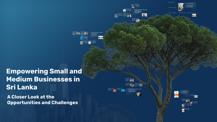 Empowering Small and Medium Businesses in Sri Lanka by digital assets ...