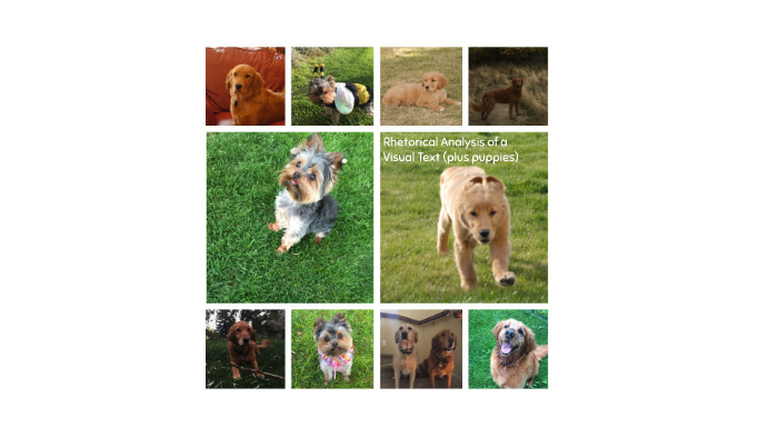 Rhetorical Analysis of a Visual Text (plus puppies) by Clara R. on Prezi
