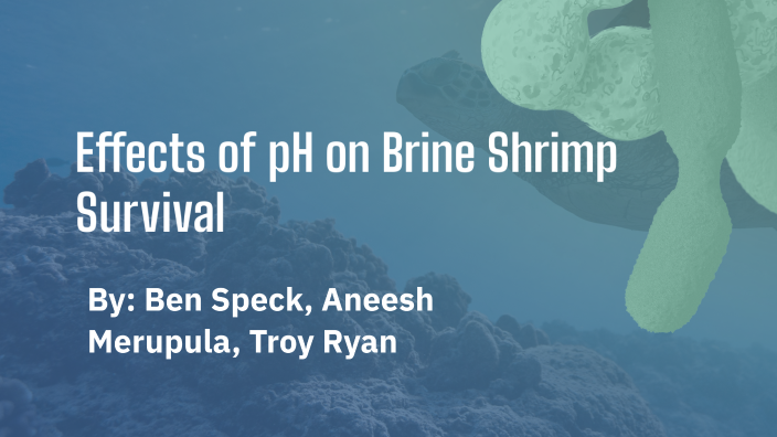 Effects of pH on Brine Shrimp by Troy Ryan on Prezi