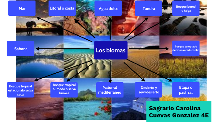 LOS BIOMAS by Sagrario Carolina Cuevas González on Prezi
