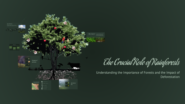 The Crucial Role of Rainforests by luis Guilherme on Prezi
