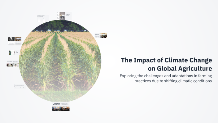 The Impact of Climate Change on Global Agriculture by Mohammad Hossein ...