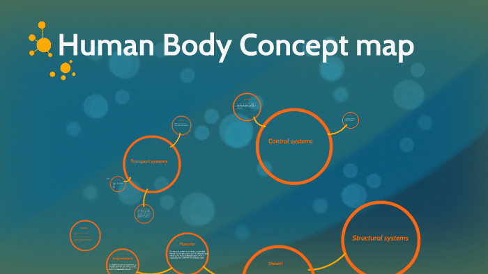 Human Body Concept map by Joseph Gaowen on Prezi