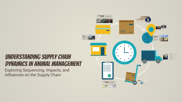 Understanding Supply Chain Dynamics in Animal Management by Emma ...