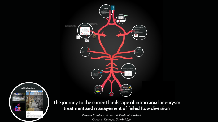 The journey to the current landscape of treatment of intracranial ...