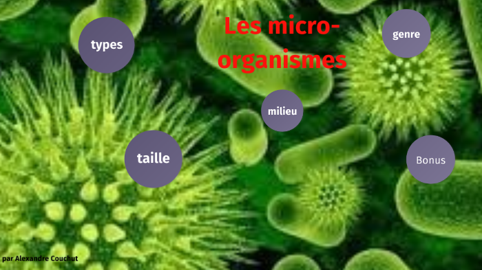 micro organisme by Alexandre COUCHUT on Prezi