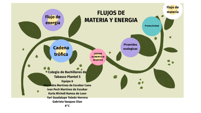 Flujo De Materia Y Energia Ejemplos