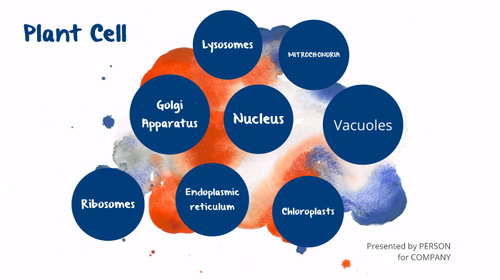 Plant cell presentation by victoria houston on Prezi