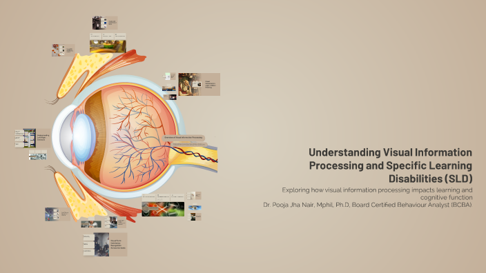 Understanding Visual Information Processing and Specific Learning ...