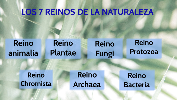 LOS REINOS DE LA NATURALEZA by Milagros Arevalo on Prezi
