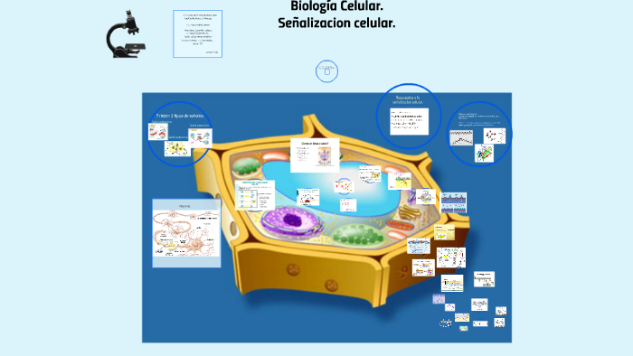 Señalizacion celular. by Vanessa Luna on Prezi