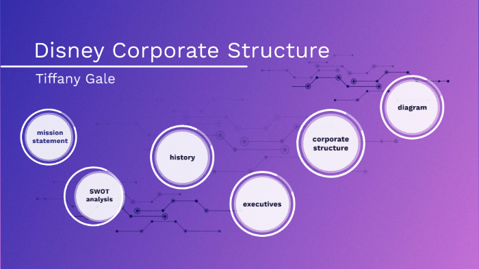 disney corporation organizational structure