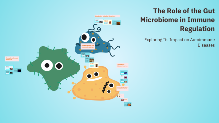 The Role of the Gut Microbiome in Immune Regulation by Hossein sarv on ...