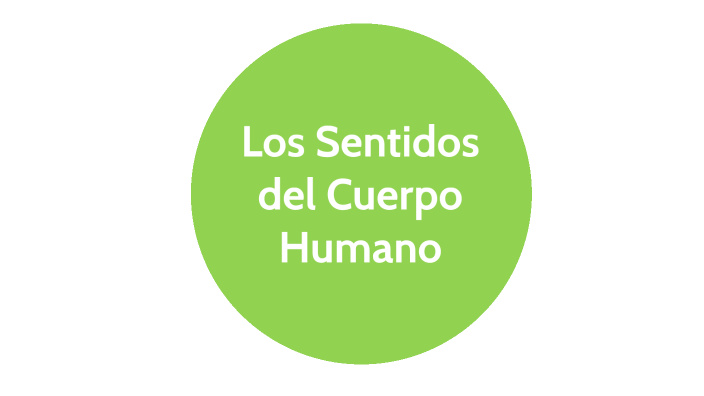 Los Sentidos by Santiago Moran Requena on Prezi