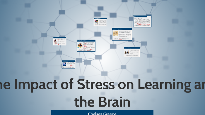 The Impact of Stress on Learning and the Brain by Chelsea Provost on Prezi