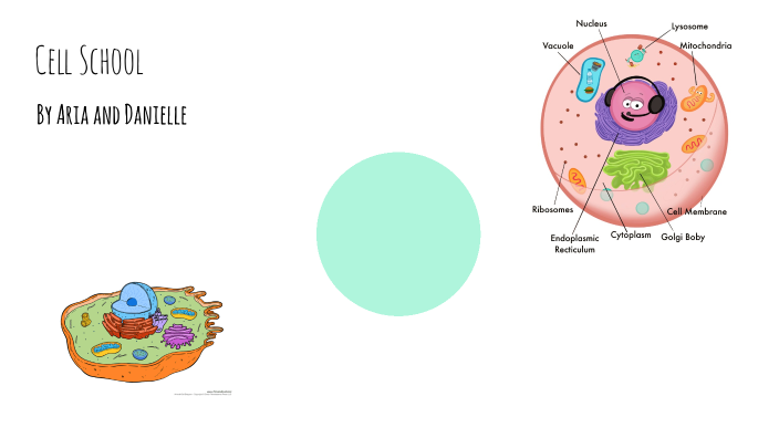 cell school by danielle williams on Prezi