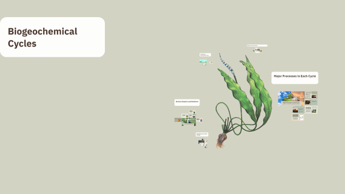 Biogeochemical Cycles by Gavin Goodrow on Prezi