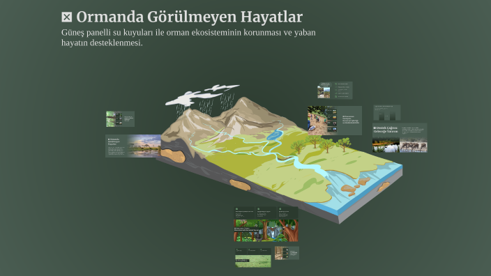 💧 Ormanda Görülmeyen Hayatlar by mustafa koçak on Prezi