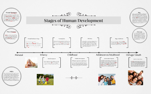 Stages of Human Development by Justin Waldfogel on Prezi