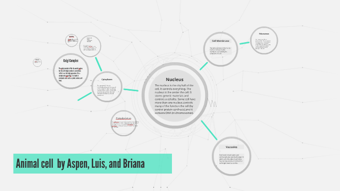 Animal Cell by Briana Vigil on Prezi