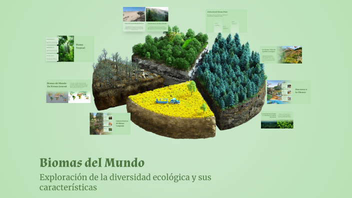 Biomas del Mundo by Sebastian Lagua on Prezi