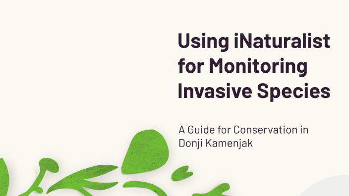 Using iNaturalist for Monitoring Invasive Species by Lidija Krajcar on ...