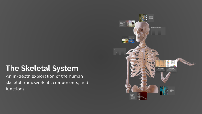 The Skeletal System by aliaa saad on Prezi