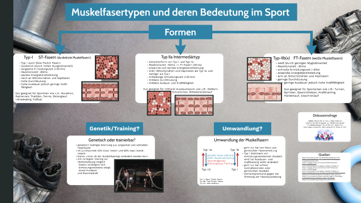 MUSKELFIBER TYPER visual data 8