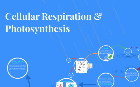 Cellular Respiration & Photosynthesis by De'Nara Mack on Prezi