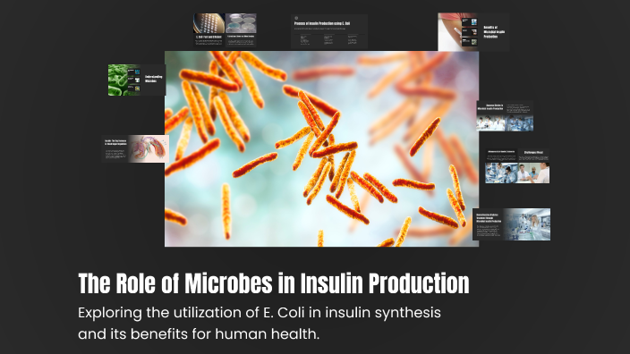 The Role of Microbes in Insulin Production by Hajer Aljahmi on Prezi