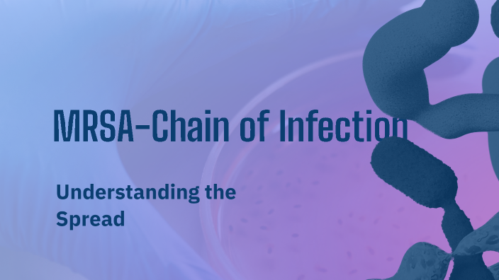 MRSA Chain of Infection by alexandra berg on Prezi