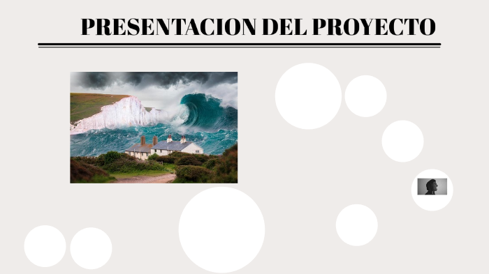 proyecto by Dayanna Triana on Prezi