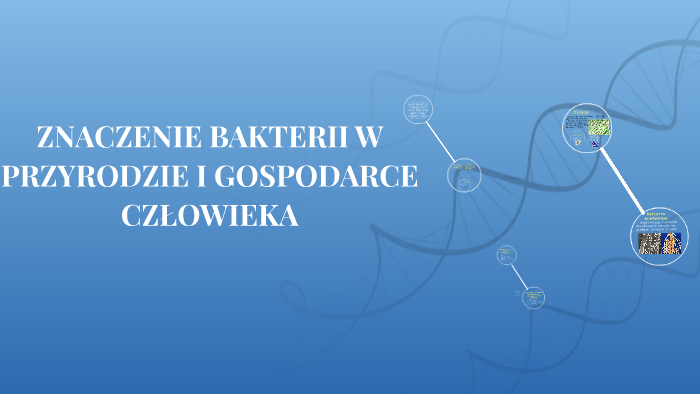 ZNACZENIE BAKTERII W PRZYRODZIE I GOSPODARCE CZŁOWIEKA by Natalia