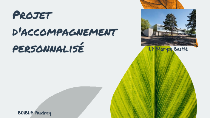 projet-d-accompagnement-personnalis-by-sharone-avia-on-prezi