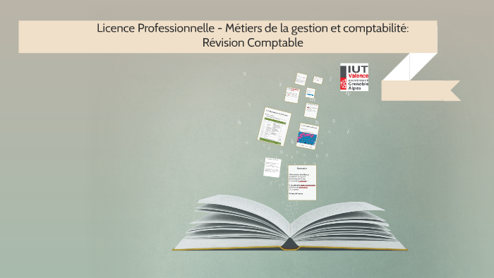 Lettre De Motivation Licence Pro Revision Comptable
