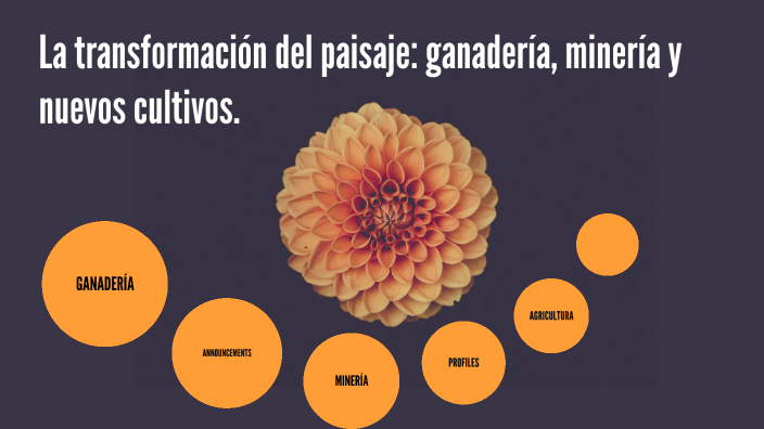 LA TRANSFORMACIÓN DEL PAISAJE: GANADERÍA, MINERÍA Y NUEVOS CULTIVOS by