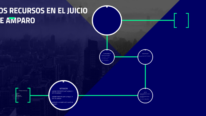 LOS RECURSOS EN EL JUICIO DE AMPARO by Ary Ochmorg