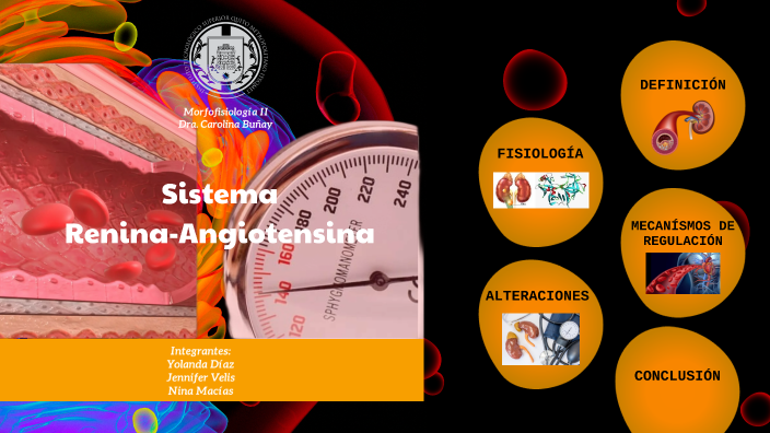 Sistema Renina Angiotensina Aldosterona By Ninel Santos On Prezi