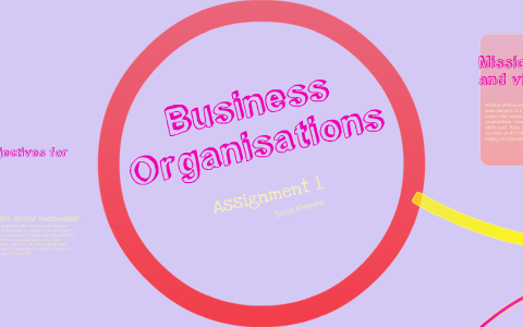 understanding business organisations assignment