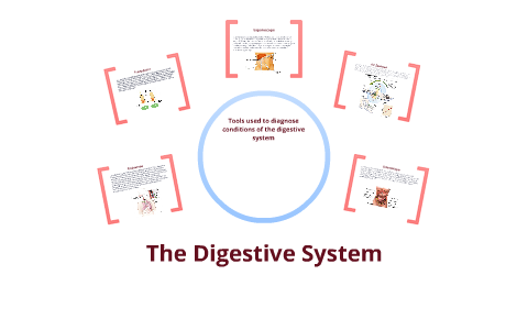 How to diagnose the digestive system by Josh Lambe on Prezi