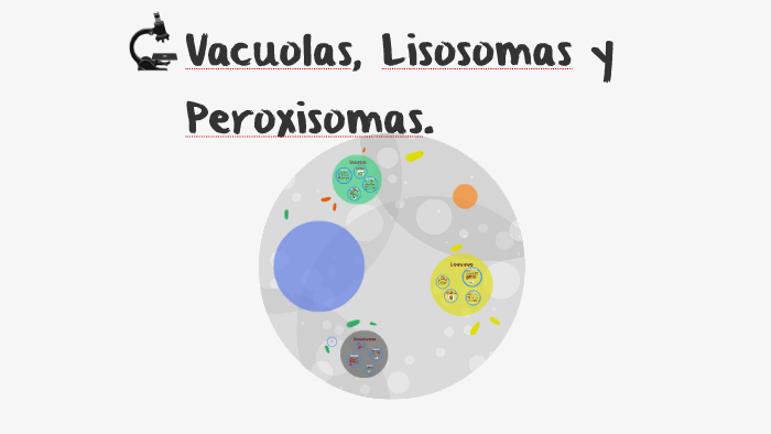 Vacuolas, Lisosomas y Peroxisomas. by Jessica Alvarado on Prezi