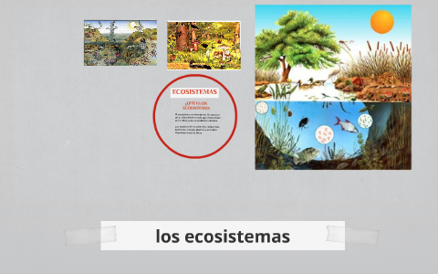 los ecosistemas by on Prezi