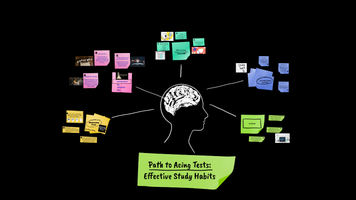 Study skills by Morgan Clampet on Prezi