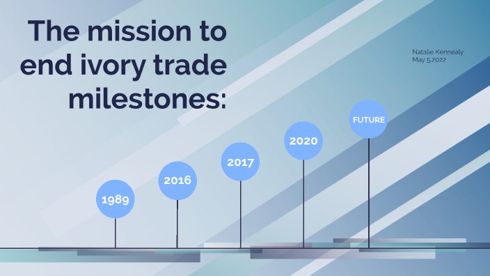 Here Are Some Milestones Of Recent Efforts To End The Illegal Ivory   Clbal22xplppqosznm6xsjdgtx6jc3sachvcdoaizecfr3dnitcq 3 0 