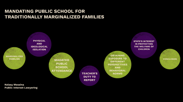 public-interest-lawyering-by-kelsey-messina