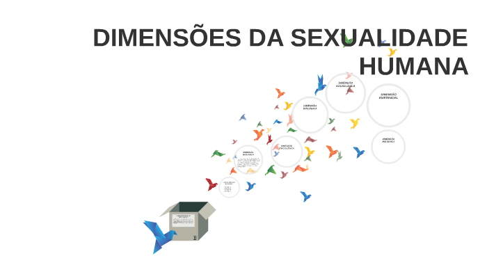 Dimensões Da Sexualidade Humana By Carolina Crisóstomo On Prezi 1152