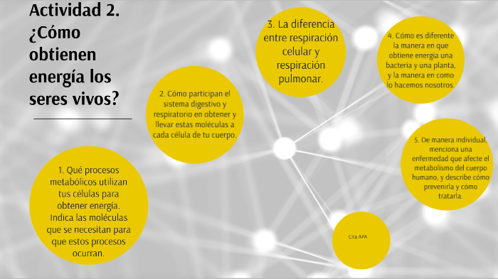 Actividad 2. ¿Cómo obtienen energía los seres vivos? by Lluvia Arlet