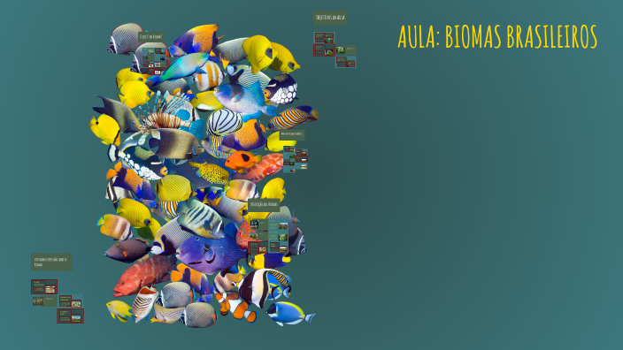 AULA: BIOMAS BRASILEIROS by Alefe De Souza Almeida on Prezi