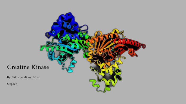 Creatine Kinase by salma jeddi on Prezi