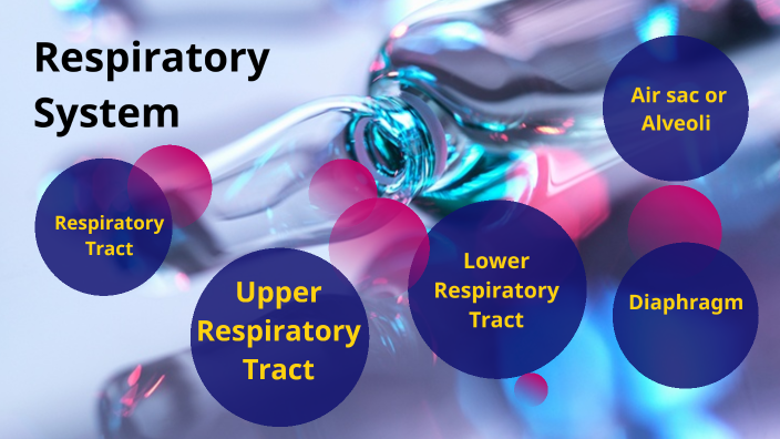 Respiratory System by Michaela Joy Azagra on Prezi